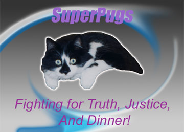 SuperPugs: My flying cat